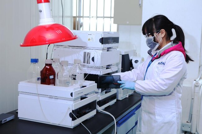 R&D Team