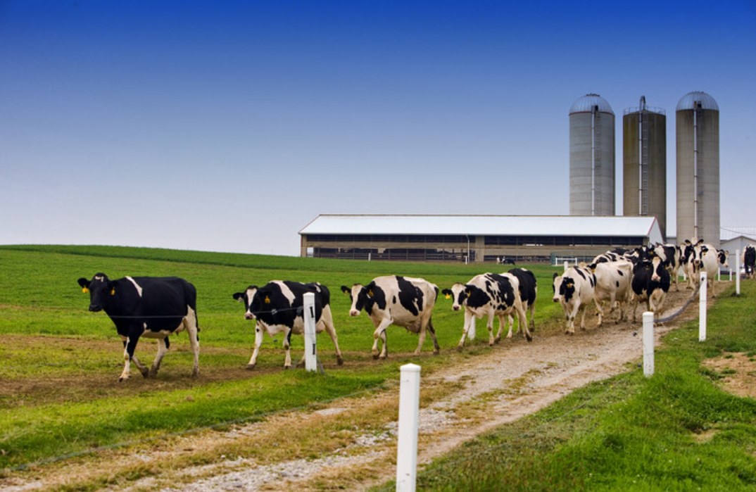 Agriculture & Animal Health